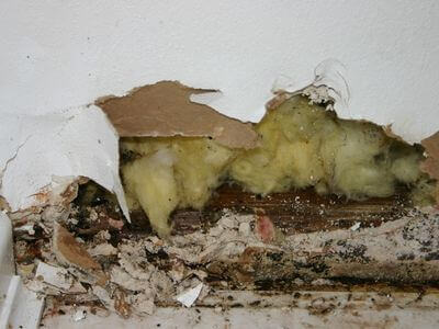 About AquaLogic Co - water damage restoration experts in Simi Valley